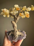 Citrine Tree with Amethyst Base - Medium