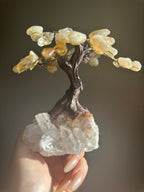 Citrine Crystal Tree - Small