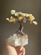 Citrine Crystal Tree - Small